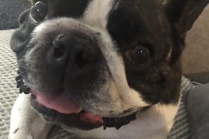 Clyde-Smile-e1554872345779