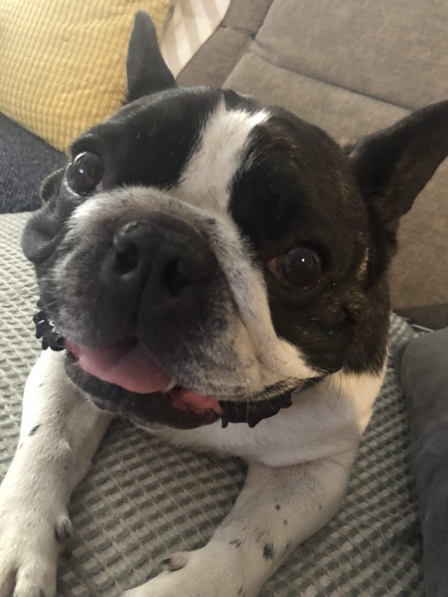 Clyde-Smile-e1554872345779