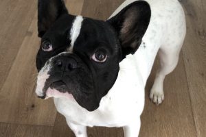 Henri