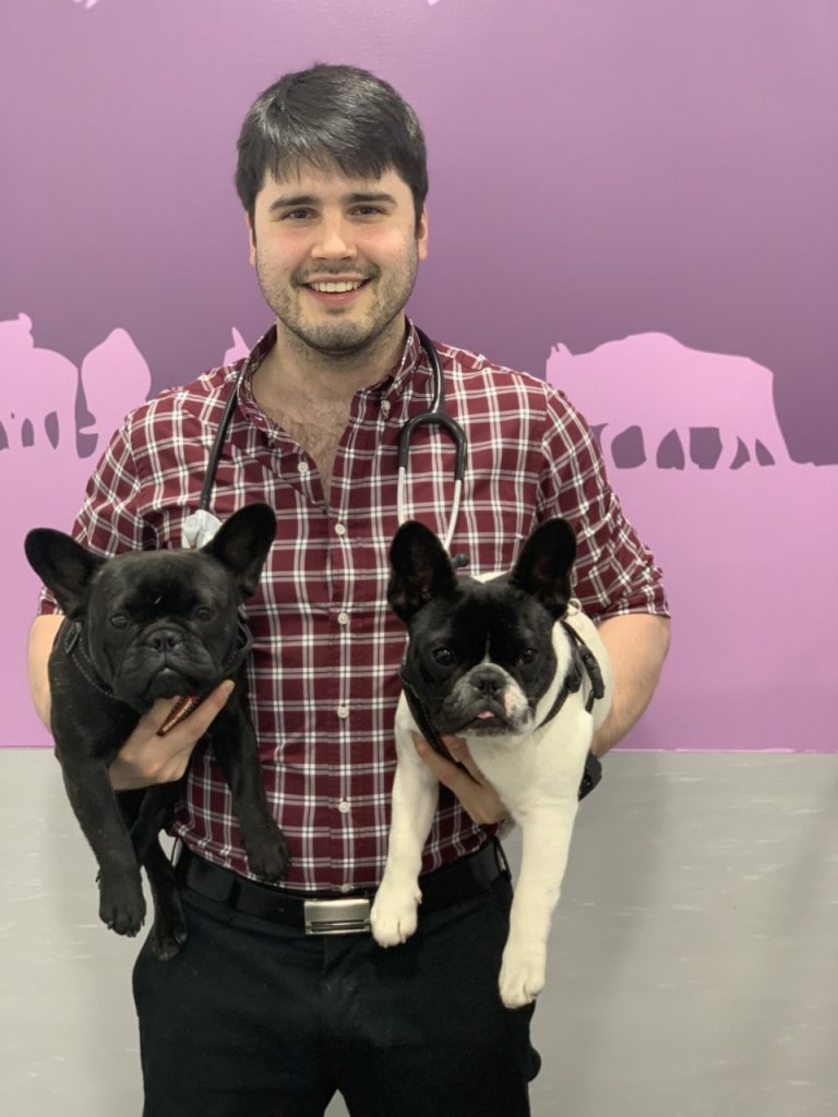 Dr Mark - Melbourne Bulldog Clinic