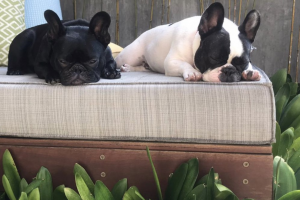 Winston and Rylie Gelbert