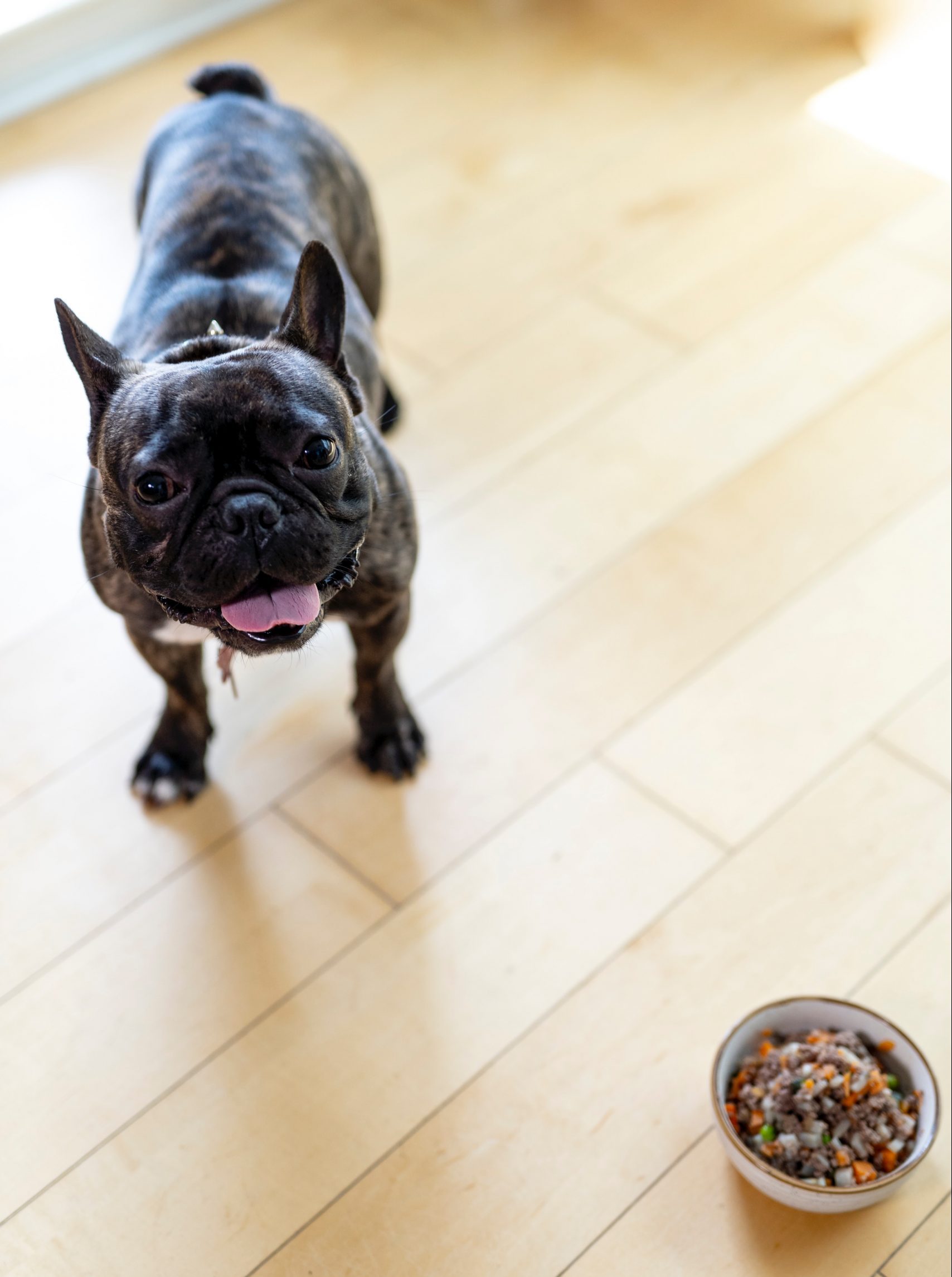 Reflux Pharyngitis - Melbourne Bulldog Clinic