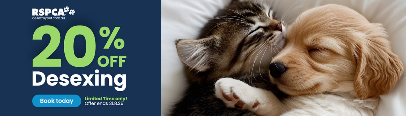 RSPCA Operation Wanted - 20% off pet desexing - call us to book
